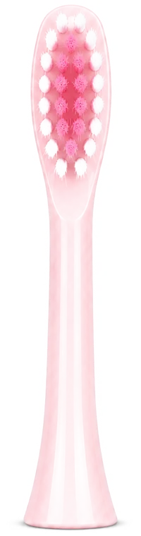 Oralis pembe yedek fırça başlığı